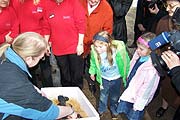 spannend nicht nur für Kinder auch die Ankunft der großen  Hummer und Langusten (Foto: MartiN Schmitz)